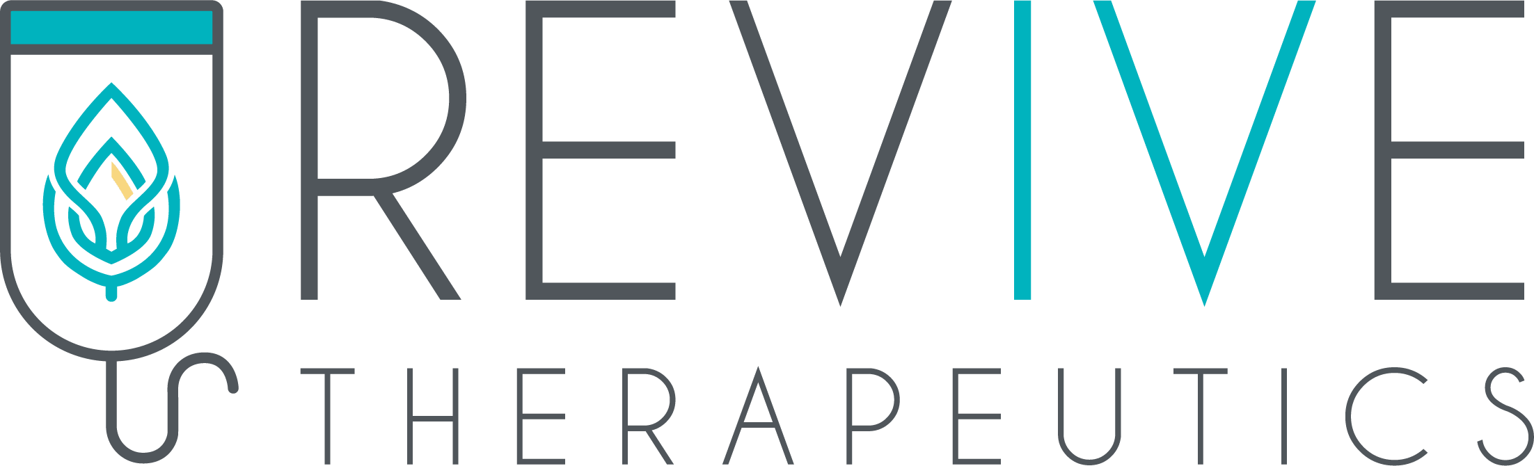 Jacksonville FL Mobile IV Hydration Spa | Revive Therapeutics