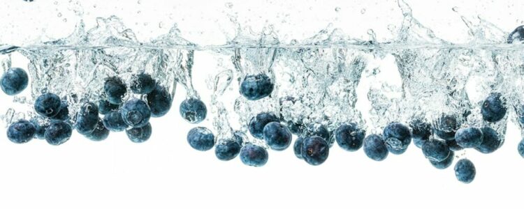 WHAT AN ANTIOXIDANT IS & HOW TO GET A NATURAL BOOST